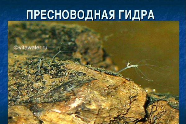 Кракен ссылка kraken dark link
